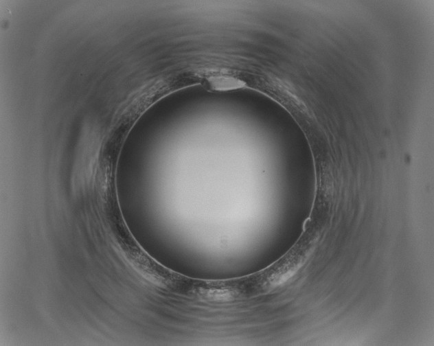 X0000065980645200603101423