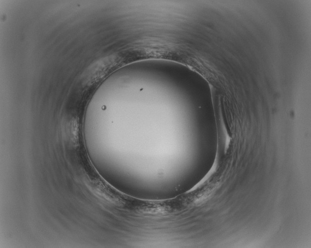 X0000065980646200603101423