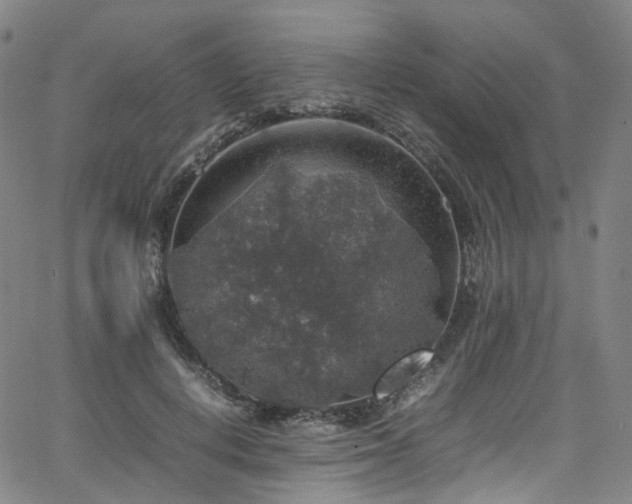 X0000065980648200603101423