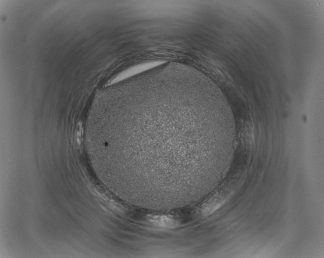 X0000065980649200603101423