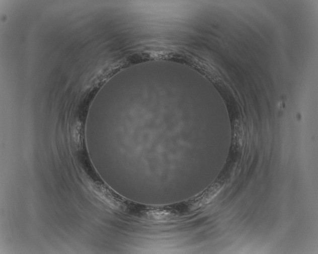 X0000065980650200603101423