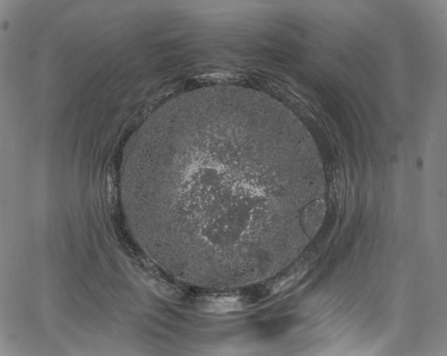 X0000065980651200603101423