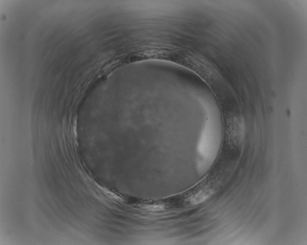 X0000065980653200603101423