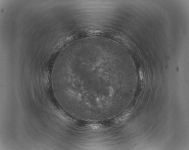 X0000065980654200603101423