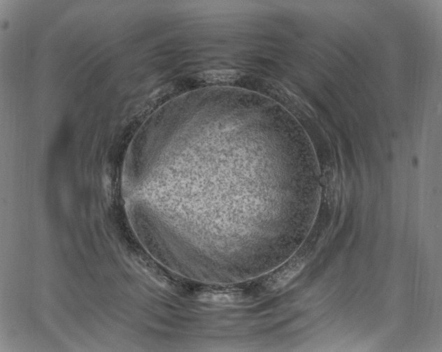 X0000065980655200603101423