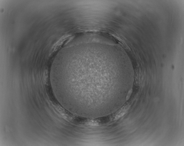 X0000065980656200603101423