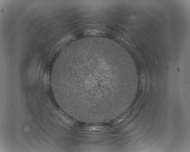 X0000065980657200603101423