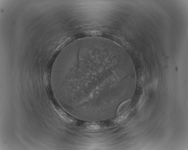 X0000065980658200603101423