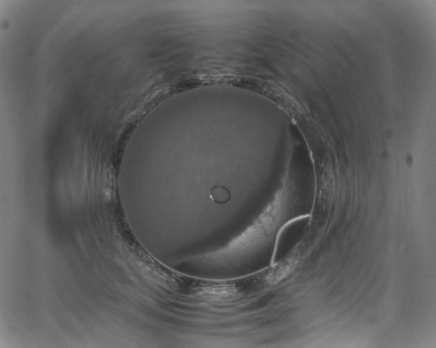 X0000065980659200603101423