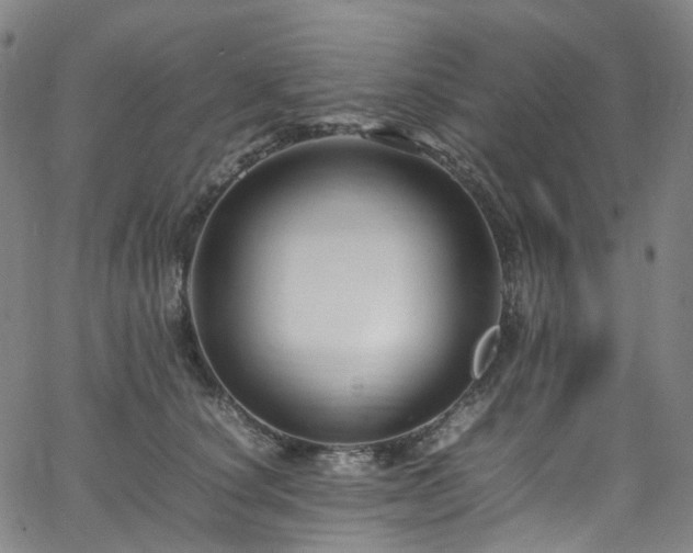 X0000065980660200603101423