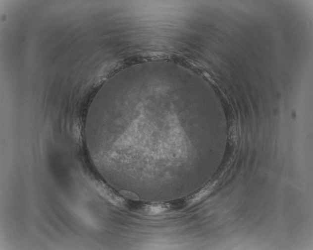 X0000065980662200603101423