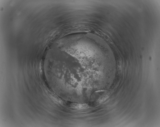 X0000065980663200603101424