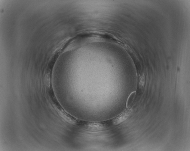 X0000065980666200603101424