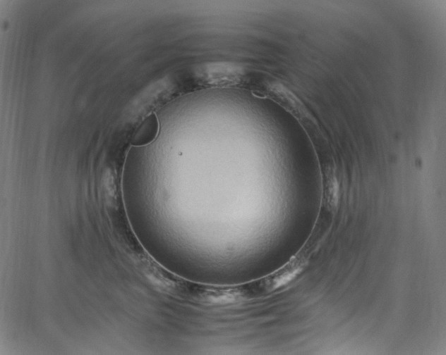 X0000065980667200603101424