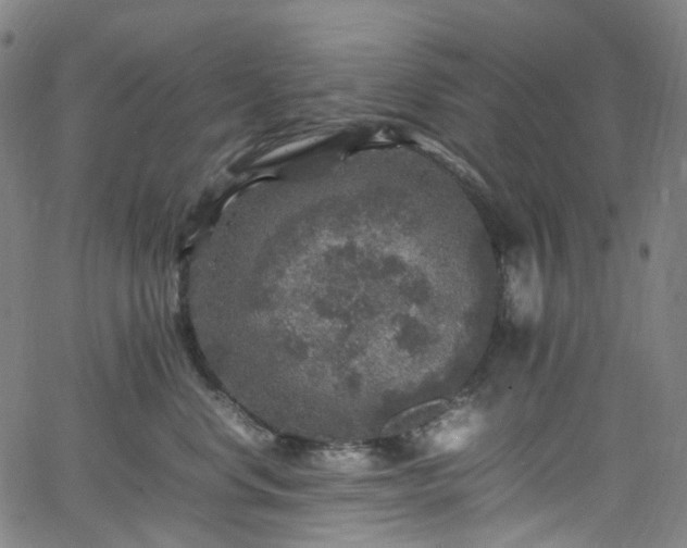 X0000065980668200603101424