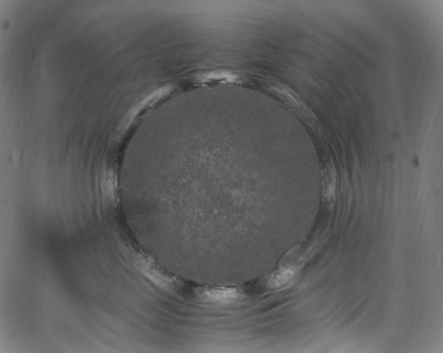 X0000065980669200603101424