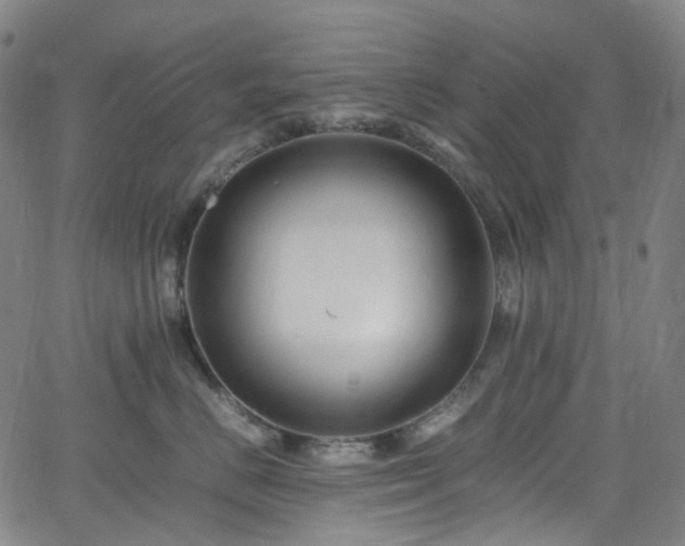 X0000065980670200603101424