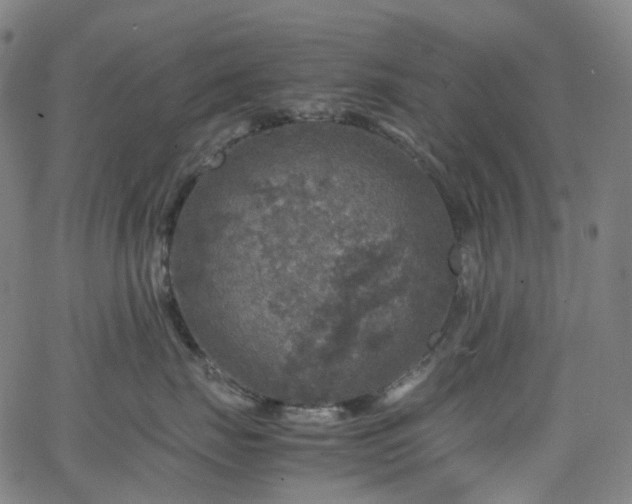 X0000065980671200603101424