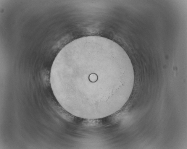 X0000065980672200603101424