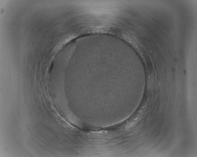 X0000065980673200603101423