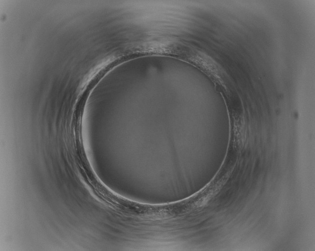 X0000065980674200603101423