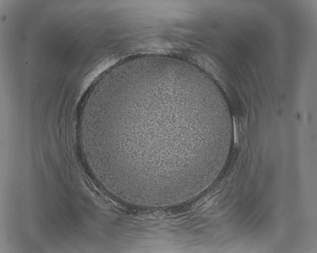 X0000065980675200603101423