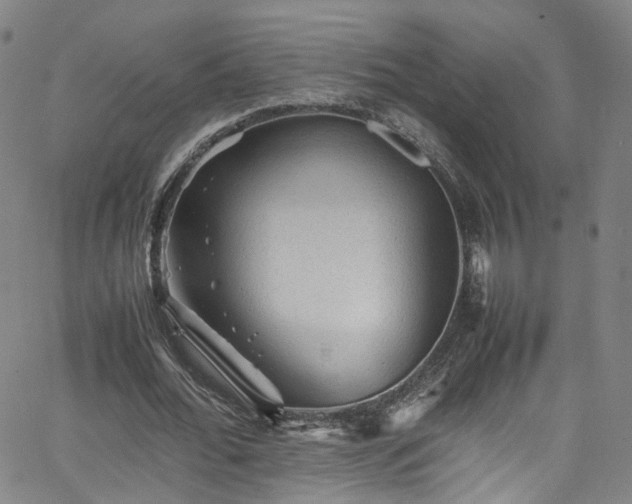 X0000065980676200603101423