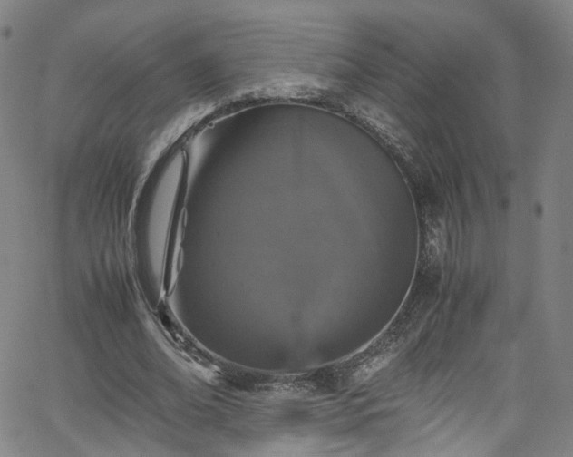 X0000065980678200603101423