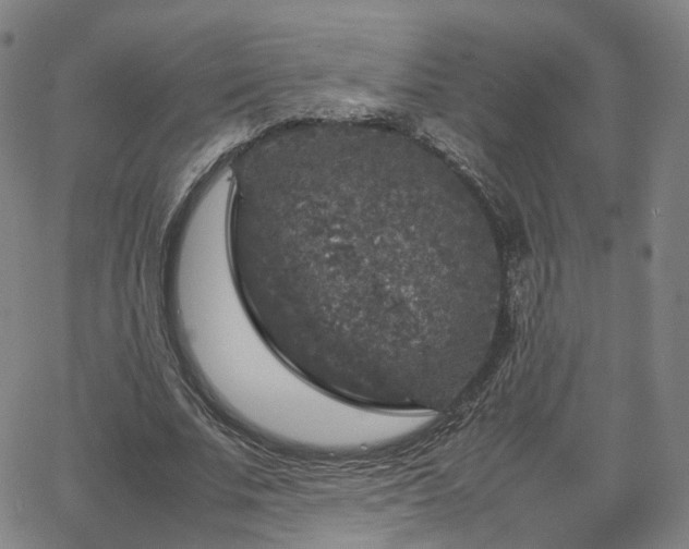 X0000065980679200603101423