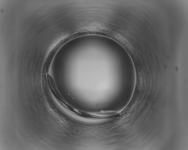 X0000065980680200603101423