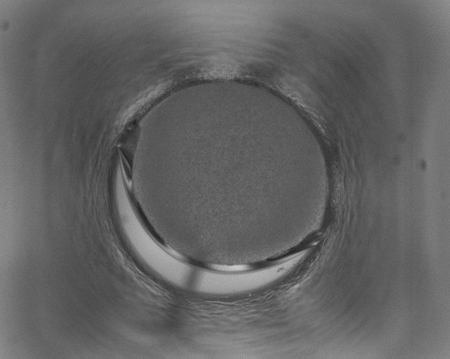 X0000065980681200603101423