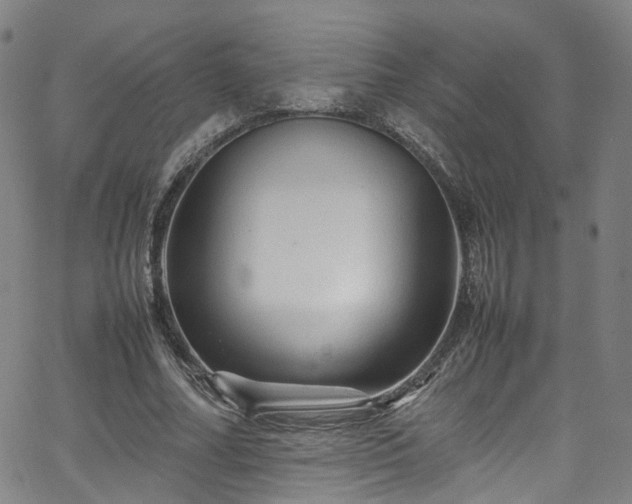 X0000065980682200603101423