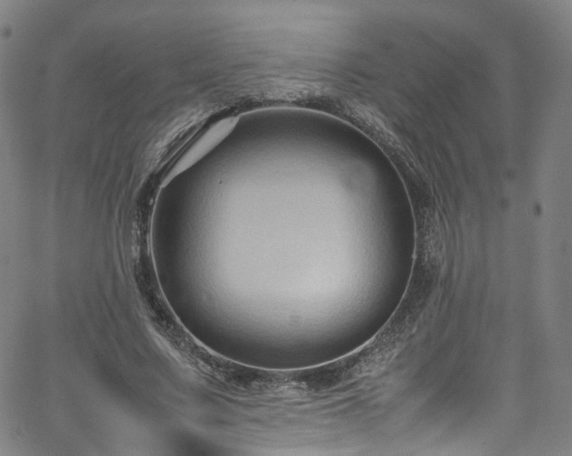 X0000065980683200603101423