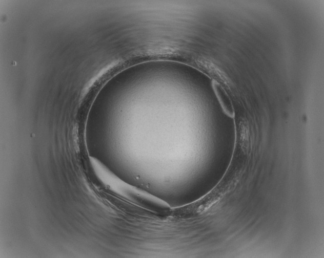 X0000065980684200603101423