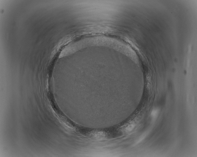 X0000065980685200603101423