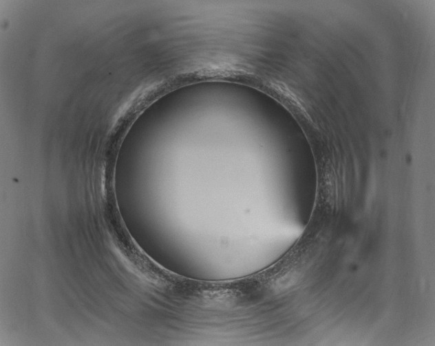 X0000065980686200603101423