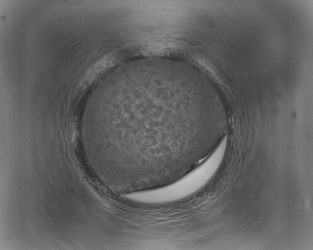 X0000065980687200603101423