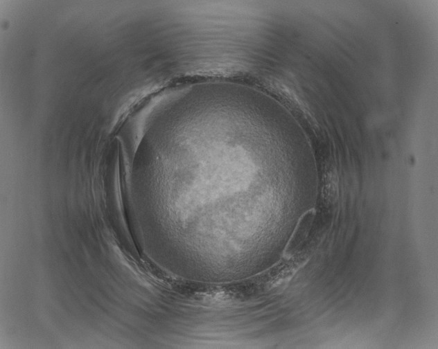 X0000065980688200603101423