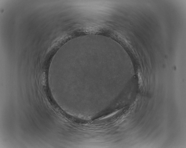 X0000065980689200603101423