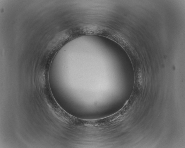 X0000065980690200603101423