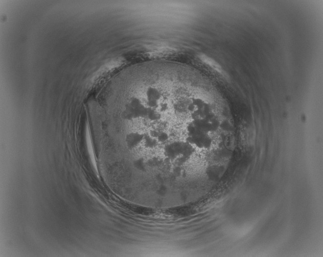 X0000065980691200603101423