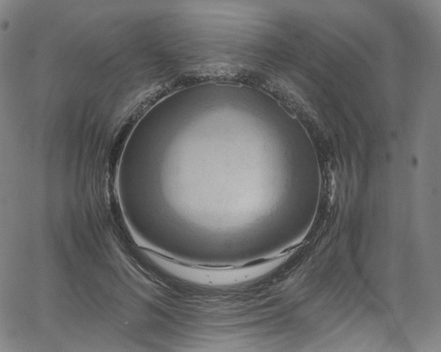 X0000065980692200603101423