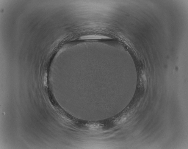 X0000065980693200603101423