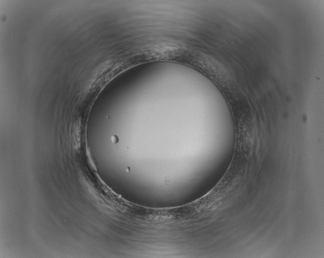 X0000065980694200603101422