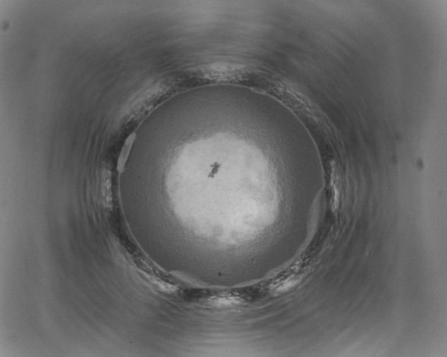 X0000065980696200603101422