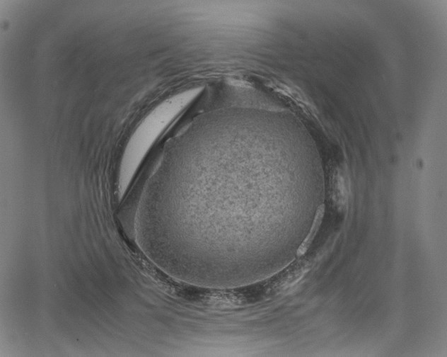 X0000065980697200603101422