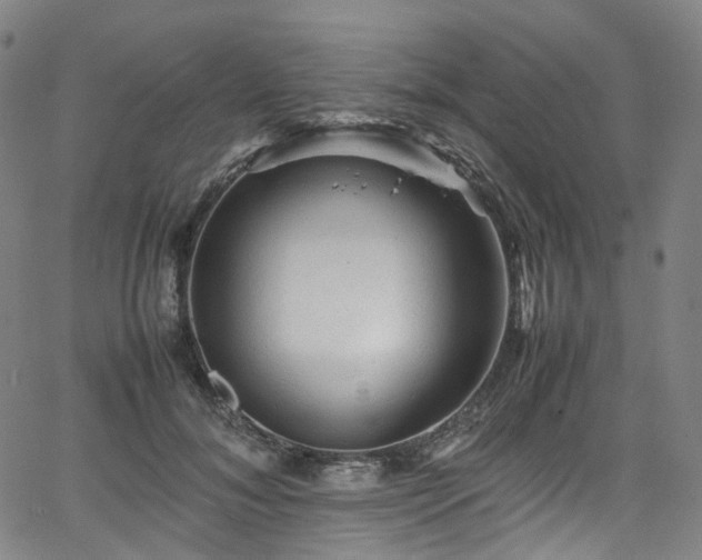 X0000065980700200603101422