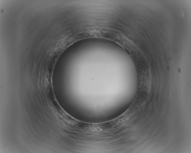 X0000065980702200603101422