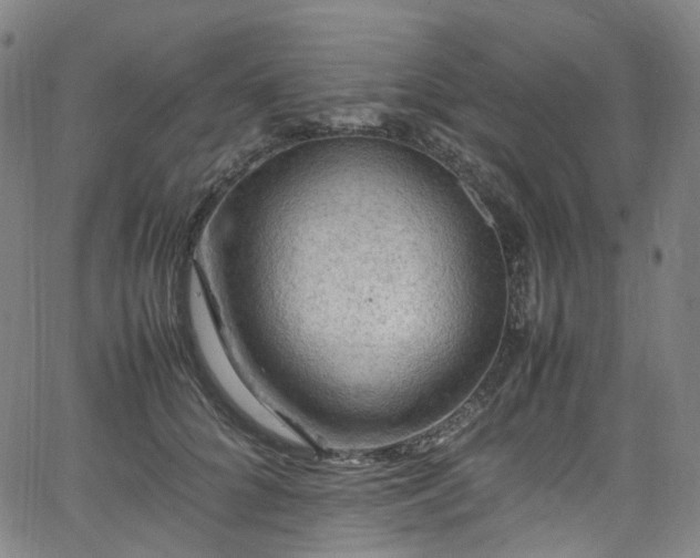 X0000065980704200603101422