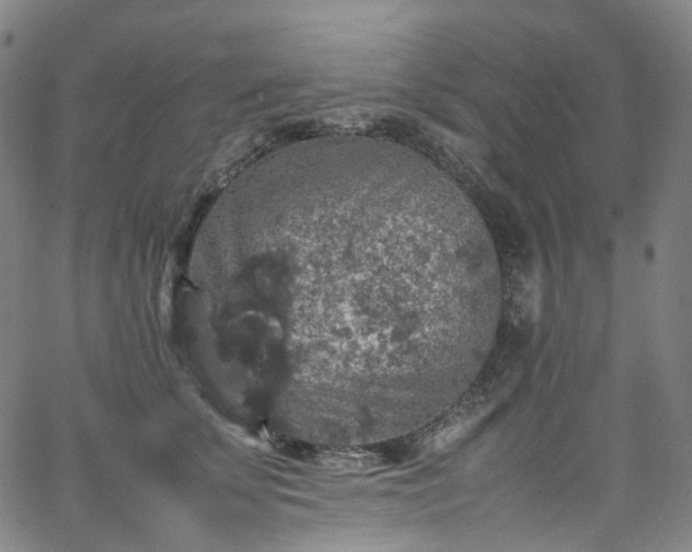 X0000065980707200603101422